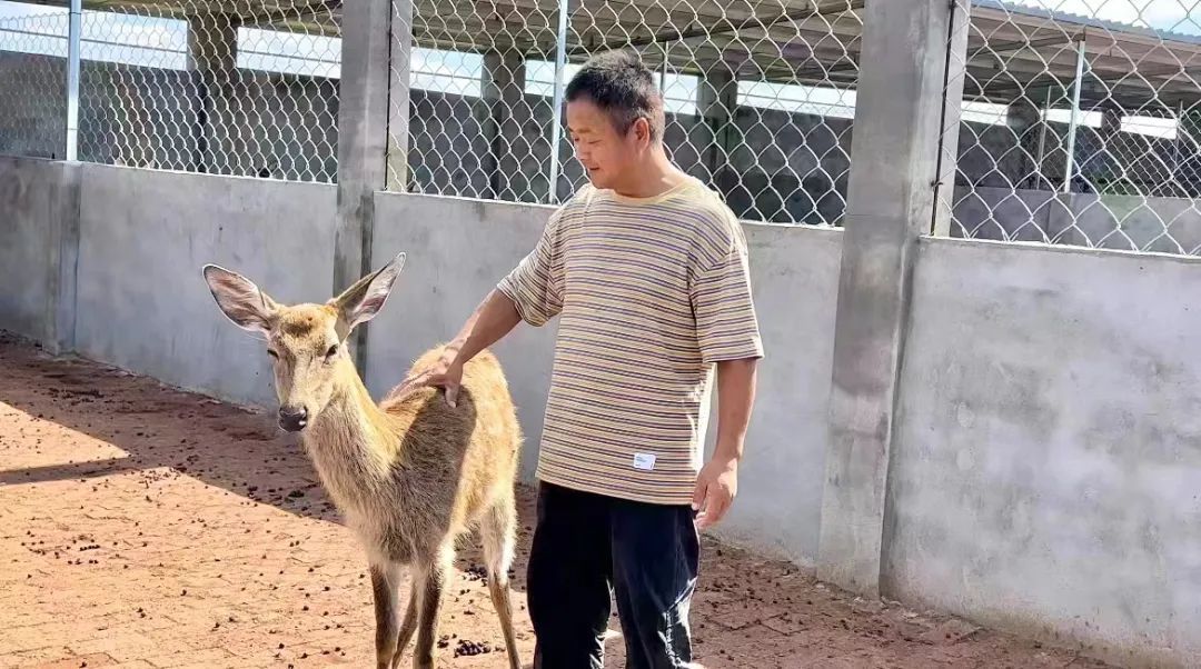 澳门明升网址平台